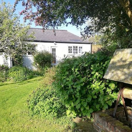 Cozy Country Cottage With Beautiful Rural Views New Quay Екстериор снимка