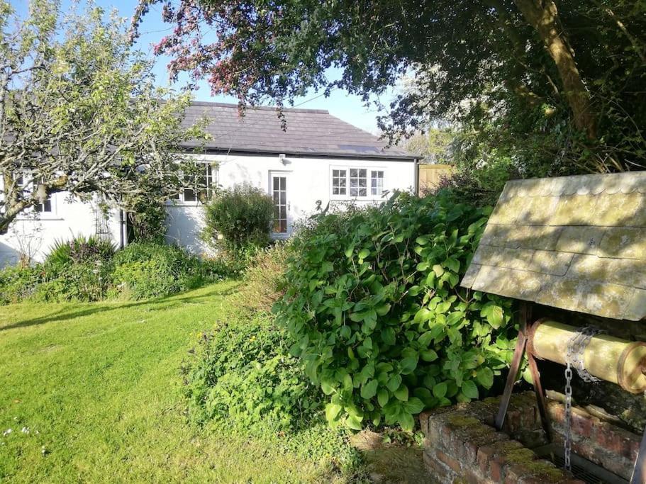 Cozy Country Cottage With Beautiful Rural Views New Quay Екстериор снимка